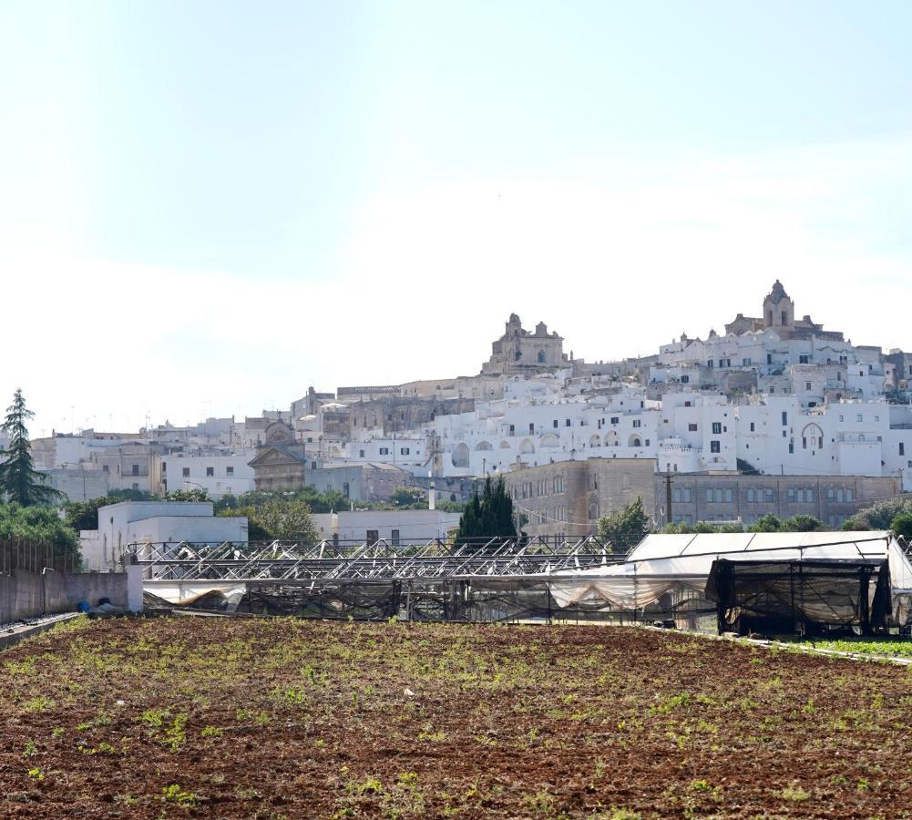 Appartamento Il Giardino Ostuni Esterno foto